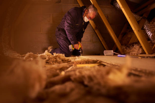 Best Insulation Maintenance and Repair in Northbrook, OH